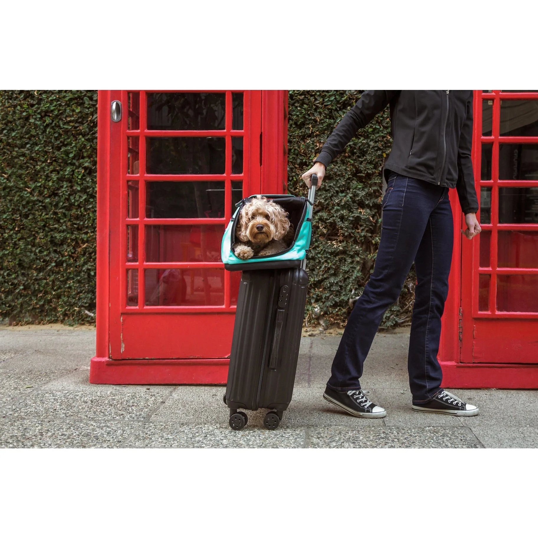 Sleepypod Air 2.0 Pet Carrier, Premium Airline Compliant Large Size Carrier - Newly Updated Model - Image 7