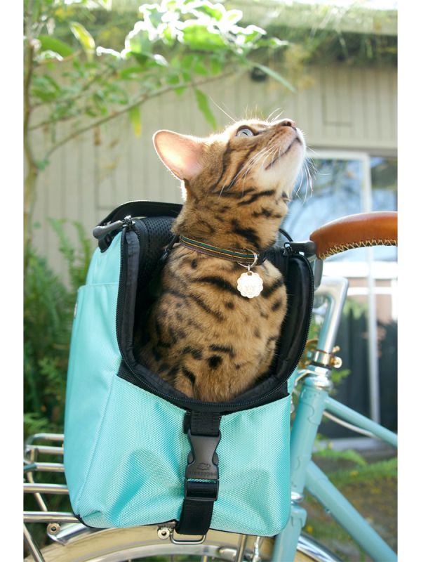 Sleepypod Atom Small Pet Carrier - Airline Compliant, Crash Tested Model - Image 11