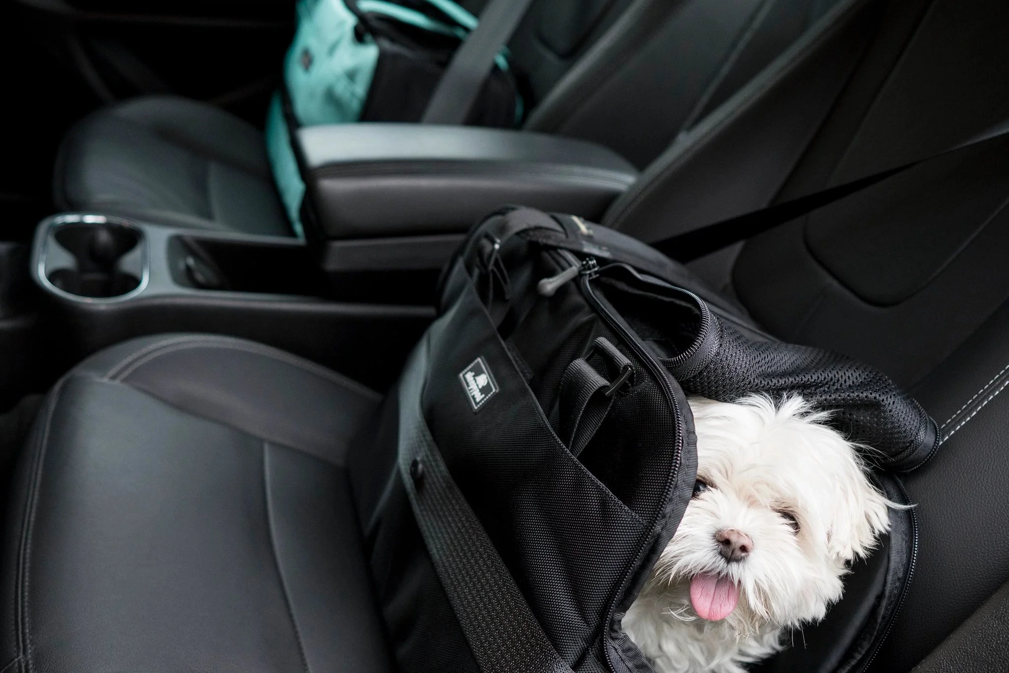 Sleepypod Atom Small Pet Carrier - Airline Compliant, Crash Tested Model - Image 14