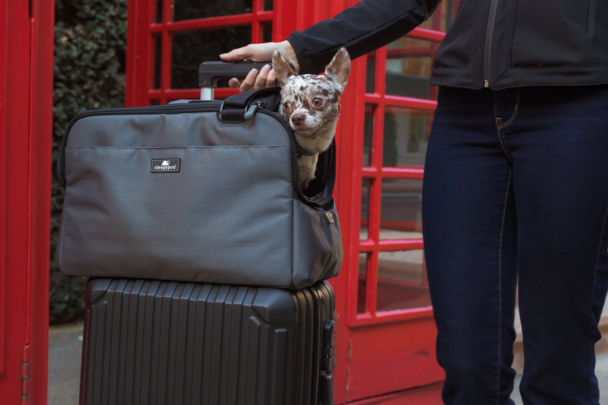 Sleepypod Atom Small Pet Carrier - Airline Compliant, Crash Tested Model - Image 16