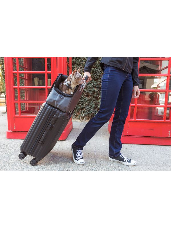 Sleepypod Atom Small Pet Carrier - Airline Compliant, Crash Tested Model - Image 8