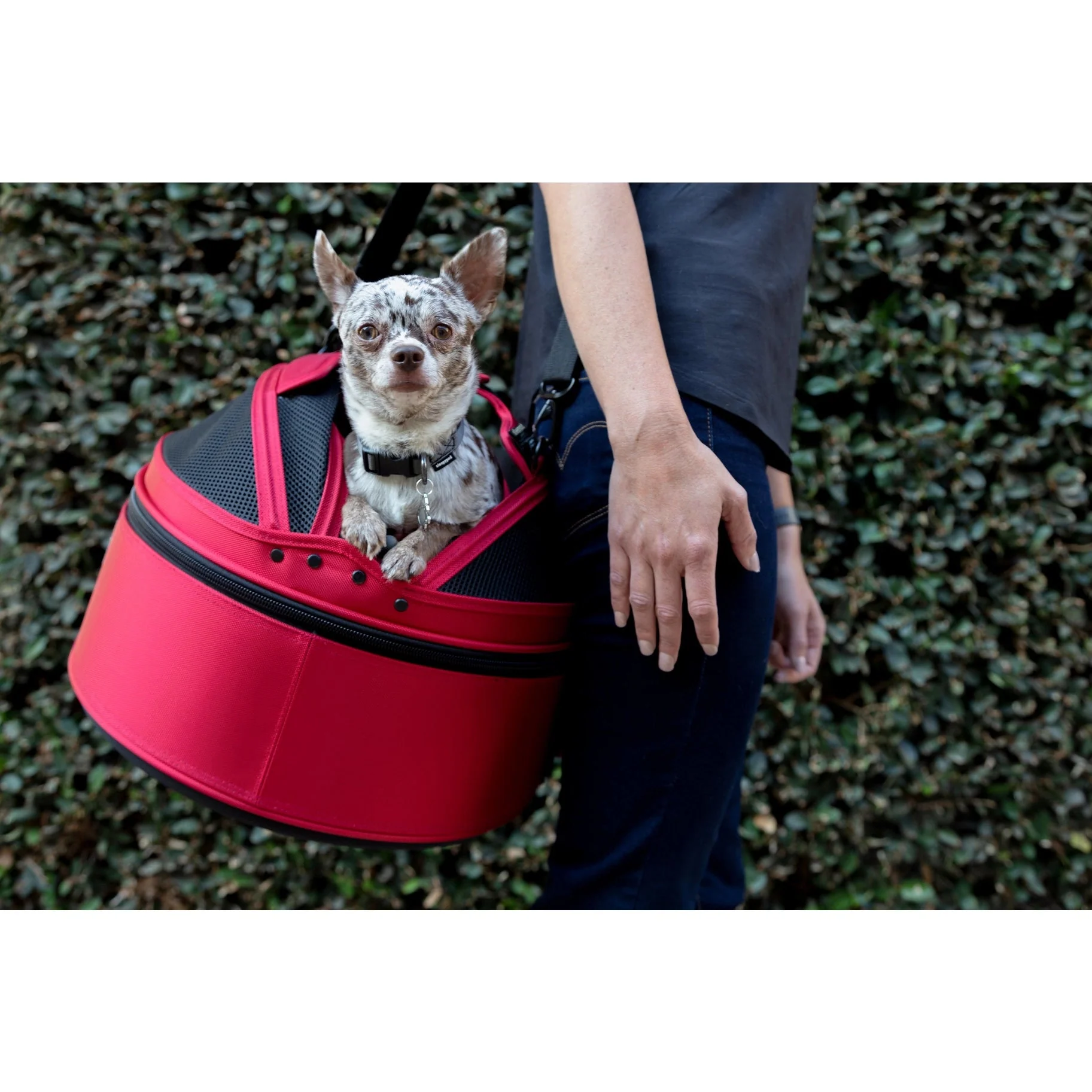 Sleepypod Mobile Pet Bed – Crash-Tested, Ultra-Plush Travel Bed for Small Pets - Full Size - Image 23