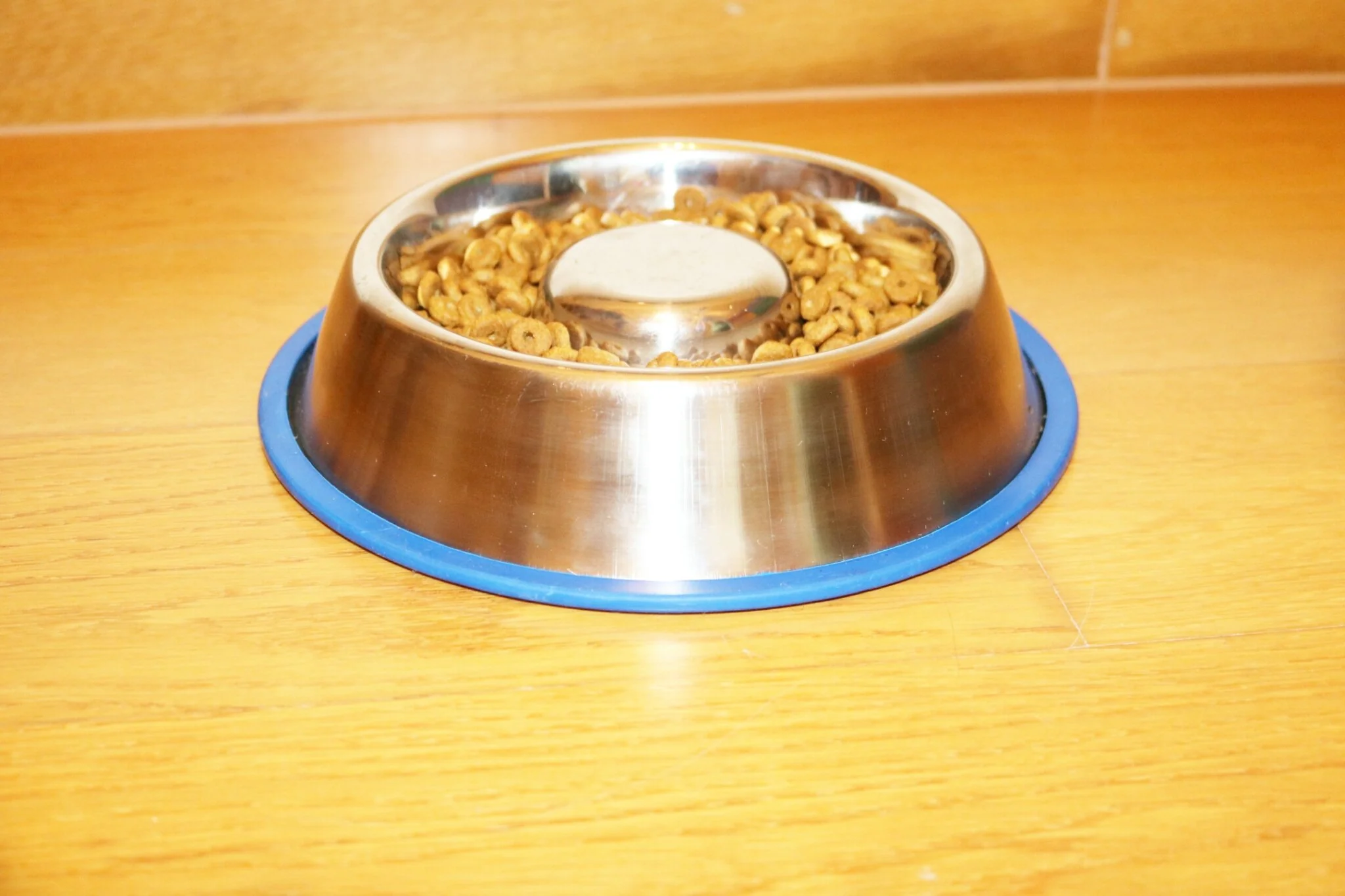 Mr. Peanut's Slow Feed Anti Bloat Dog Bowl with Bonded Silicone Base - Image 9