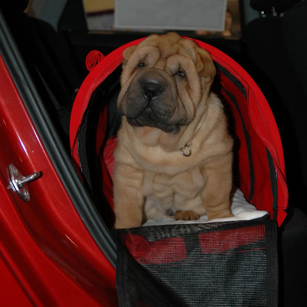 SturdiBag™ Pro XL - Image 8