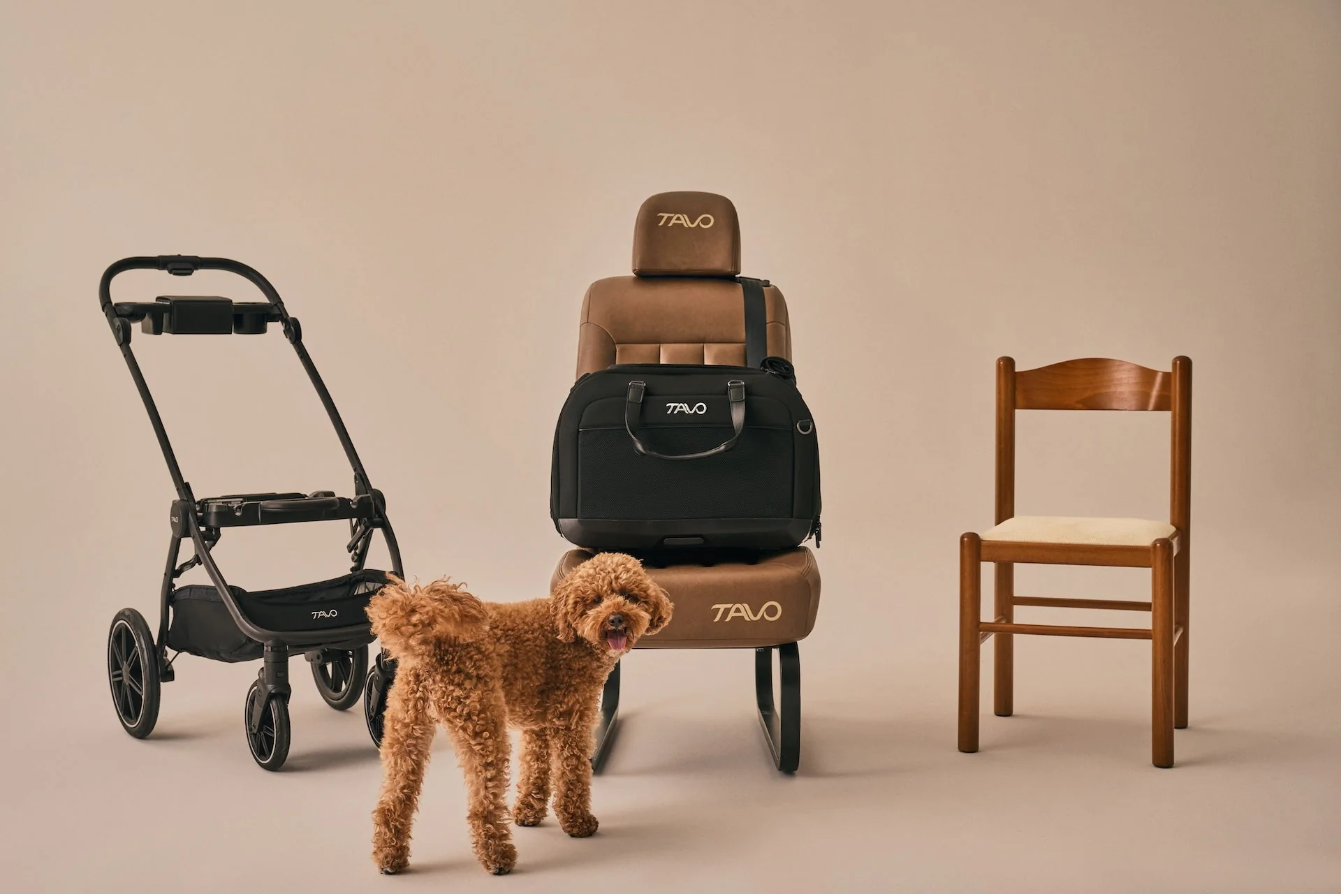 Tavo Hendrick Crash Tested Pet Car Seat and Flexible Carrier - Please Note Shipping Time Frame in Description - Image 3