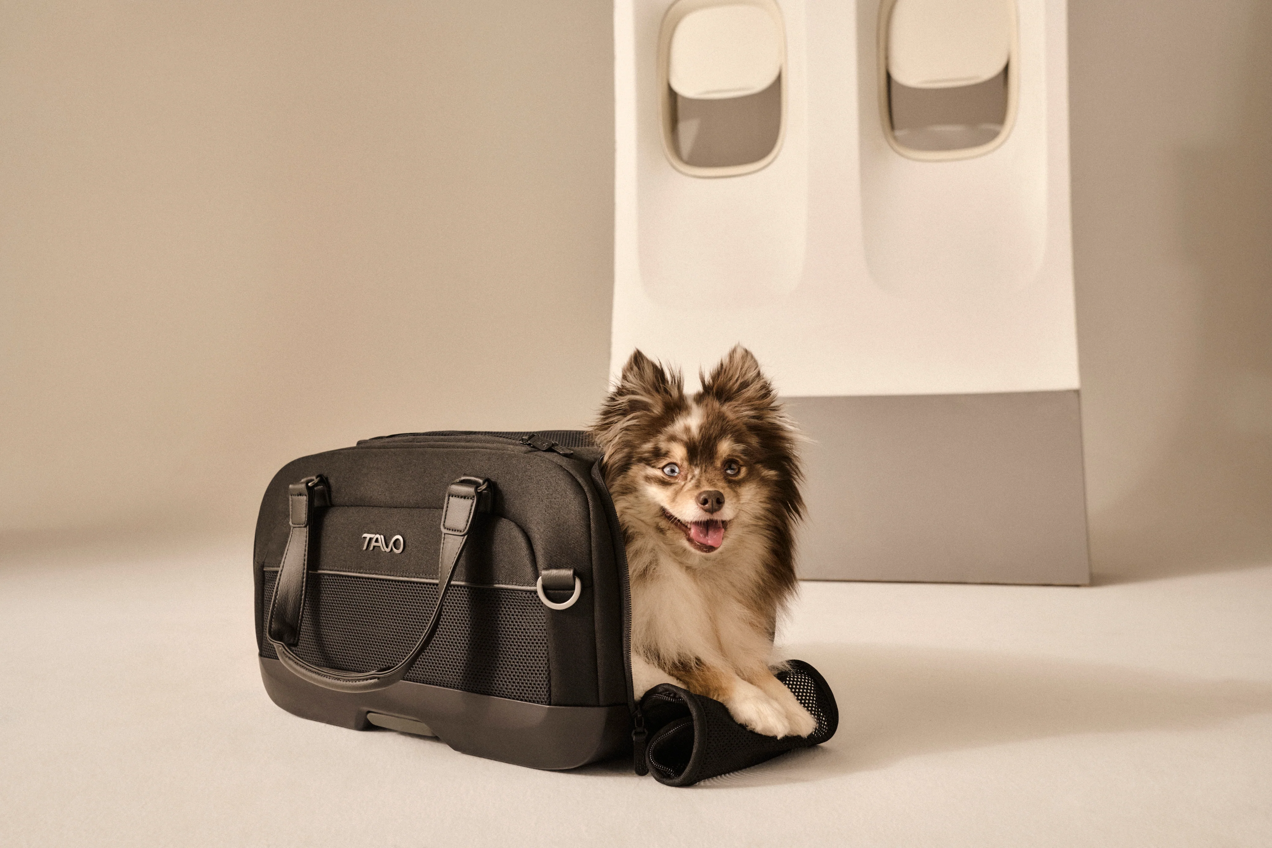 Tavo Pets Dupree II Airline Carry-On Pet Car Seat and Optional Roscoe Stroller - Please Note Shipping Time Frame in Description - Image 12