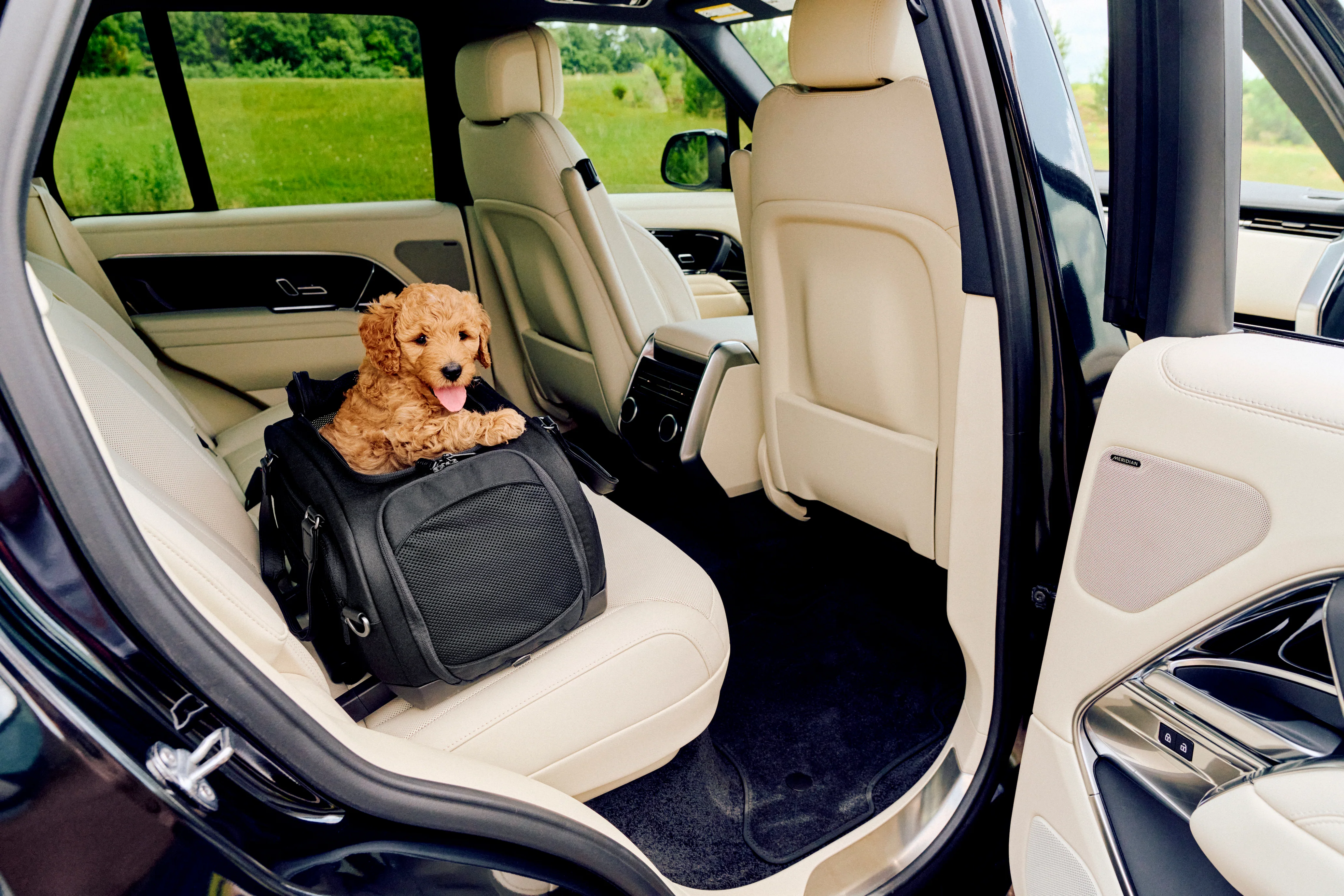 Tavo Pets Dupree II Airline Carry-On Pet Car Seat and Optional Roscoe Stroller - Please Note Shipping Time Frame in Description - Image 7