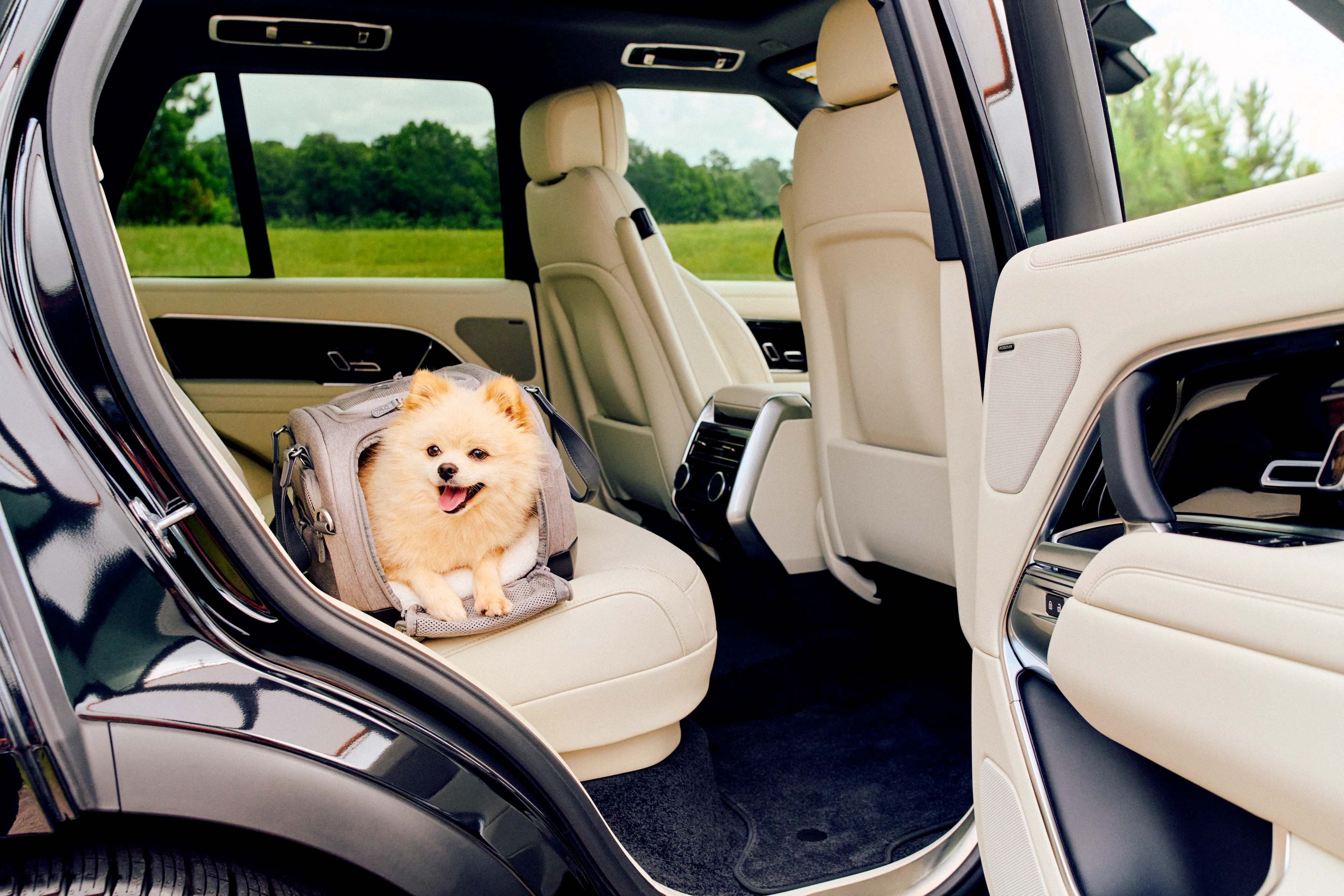 Tavo Pets Dupree II Airline Carry-On Pet Car Seat and Optional Roscoe Stroller - Please Note Shipping Time Frame in Description - Image 8