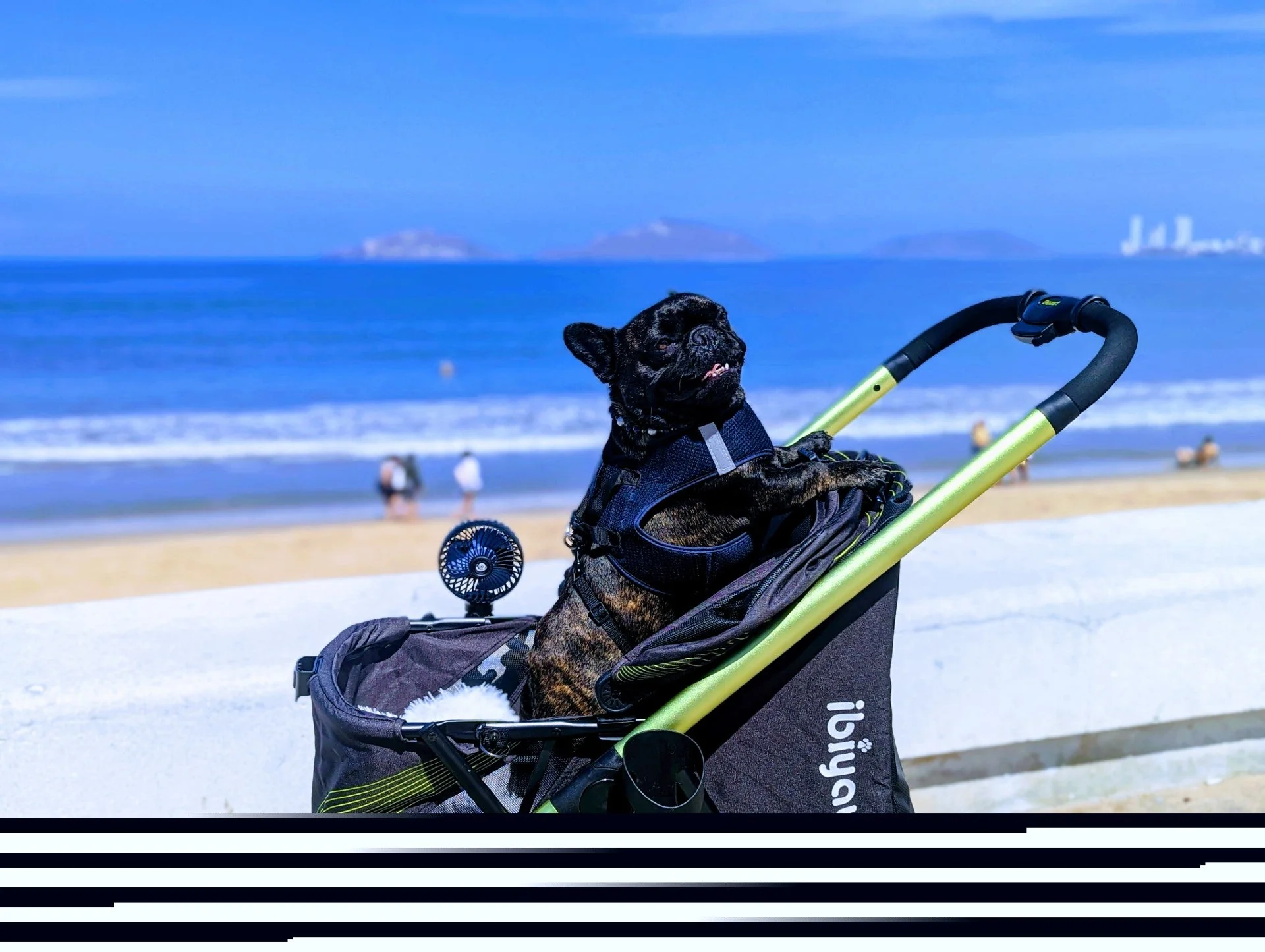 Ibiyaya Beast Pet Jogging Stroller, 3-Wheel All-Terrain Dog-Cat Pram with Double Breaks, Best Large Stroller for Running & Hiking - Image 6