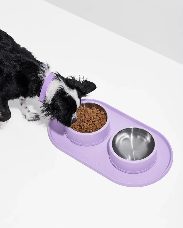 Wild One Silicon Dog Placemat (Bowls Not Included) - Image 11