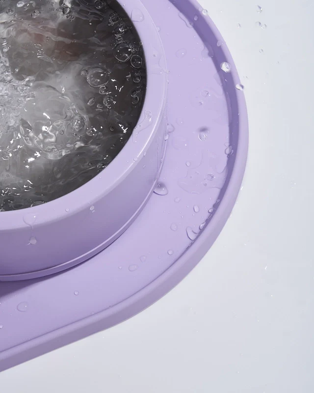 Wild One Silicon Dog Placemat (Bowls Not Included) - Image 15