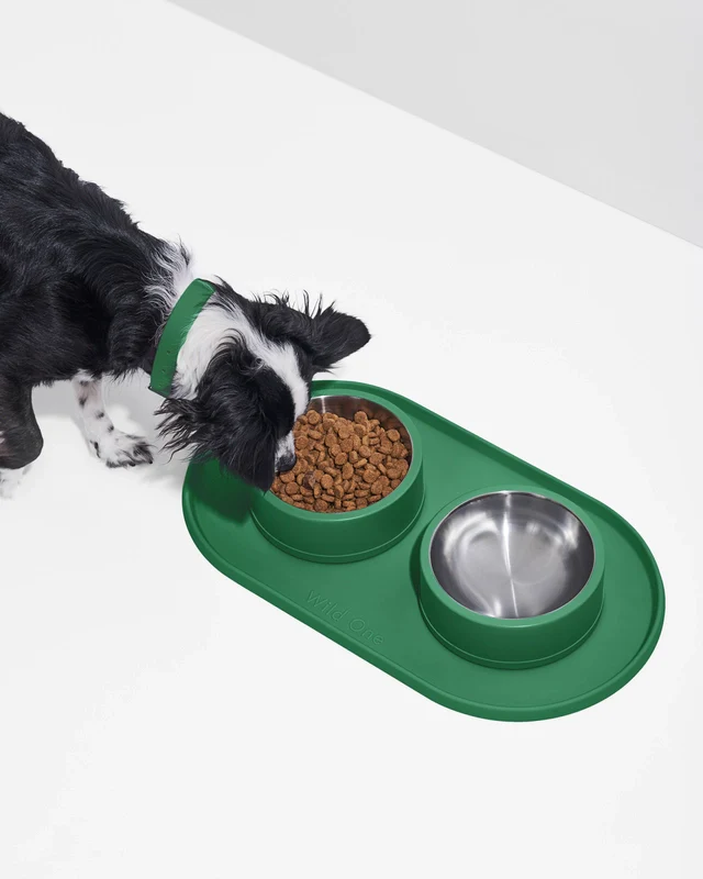 Wild One Silicon Dog Placemat (Bowls Not Included) - Image 4