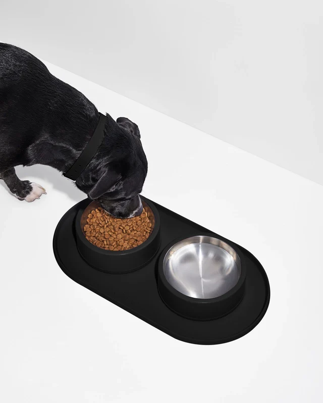 Wild One Silicon Dog Placemat (Bowls Not Included) - Image 5