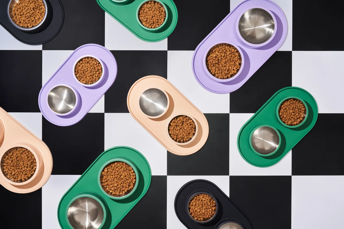 Wild One Silicon Dog Placemat (Bowls Not Included) - Image 8