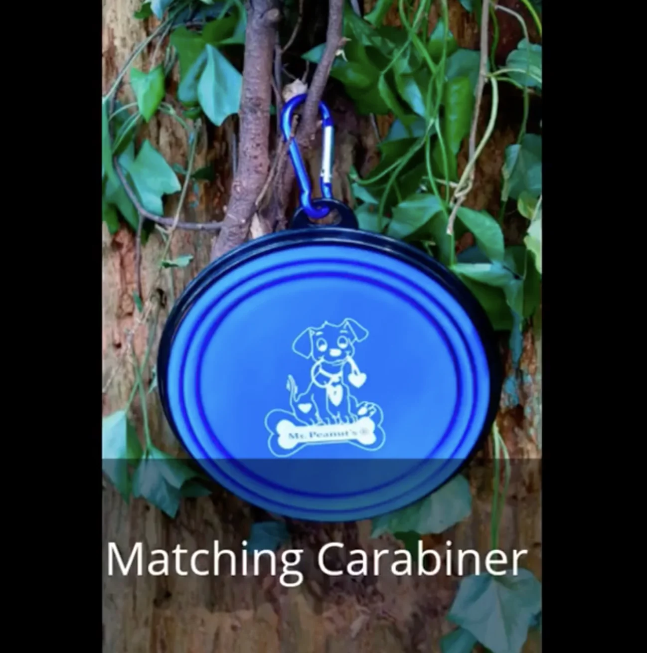 2 Pak XL 34oz Collapsible Travel Bowls for Larger Pets - Image 8